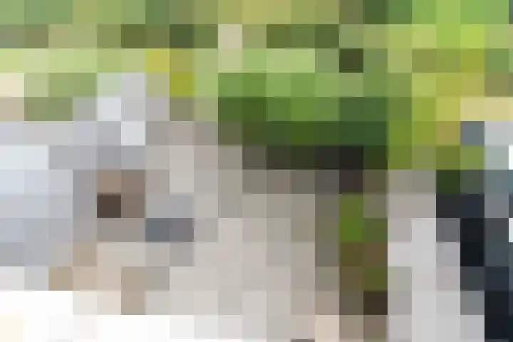 Leehoeve 56 Delft thumbnail 22
