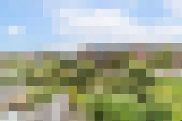 Leehoeve 56 Delft thumbnail 23