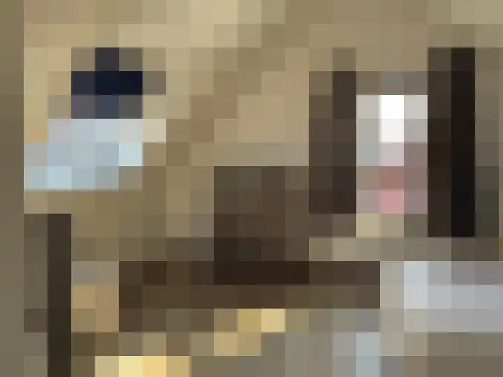 Leehoeve 56 Delft thumbnail 31