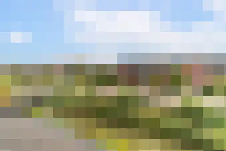 Leehoeve 56 Delft thumbnail 34