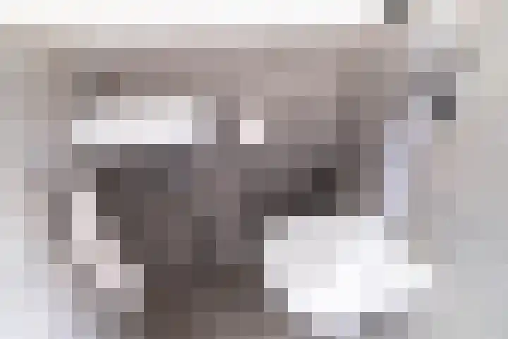 Leehoeve 56 Delft thumbnail 5