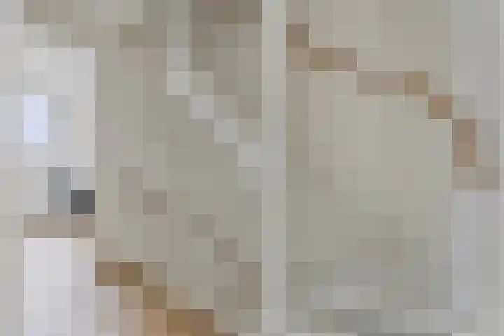 Leeijen-erf 5 Heesch thumbnail 19