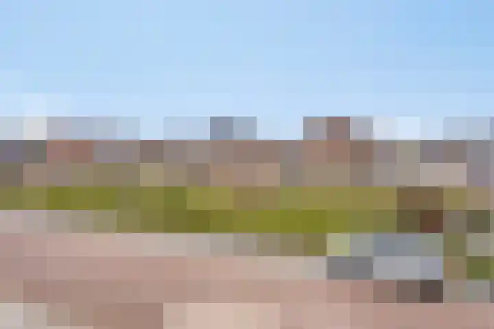 Leeijen-erf 5 Heesch thumbnail 25