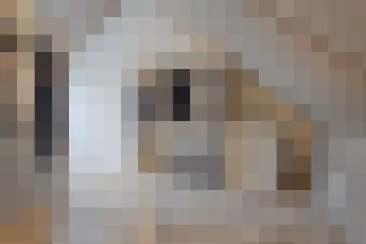 Leeijen-erf 5 Heesch thumbnail 29