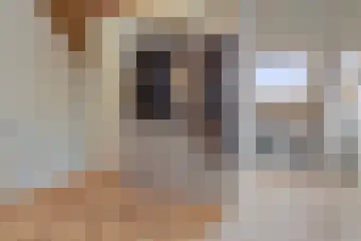 Leeijen-erf 5 Heesch thumbnail 30