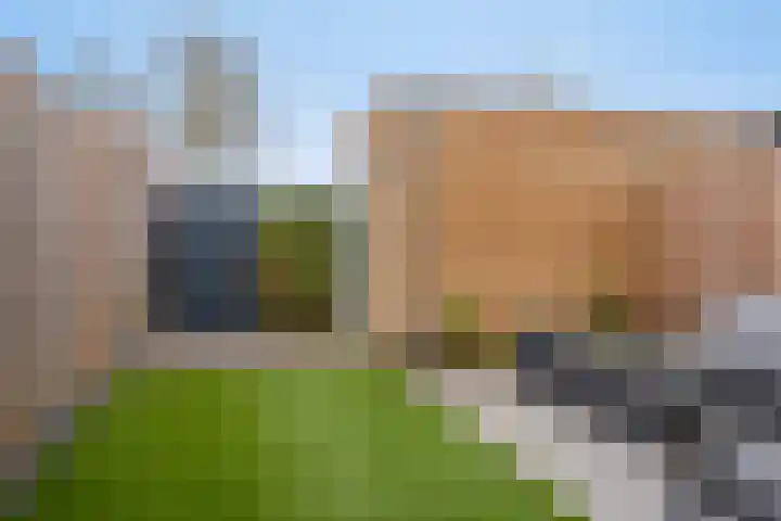 Leeijen-erf 5 Heesch thumbnail 33