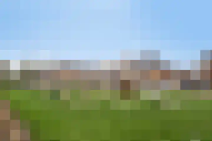 Leeijen-erf 5 Heesch thumbnail 39