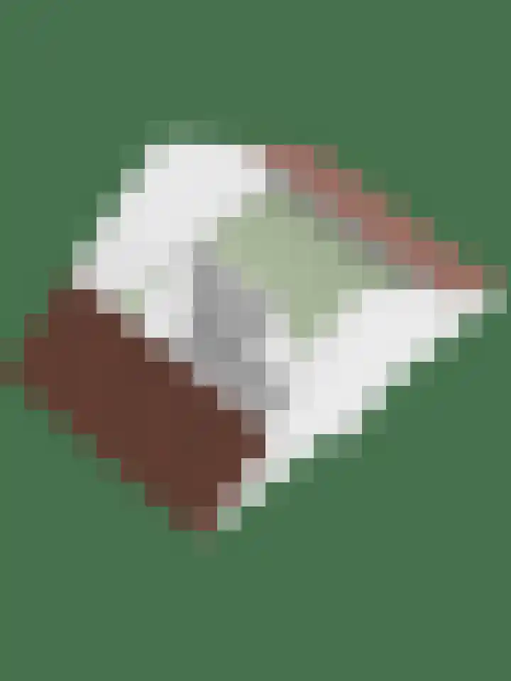 Leeijen-erf 5 Heesch thumbnail 47