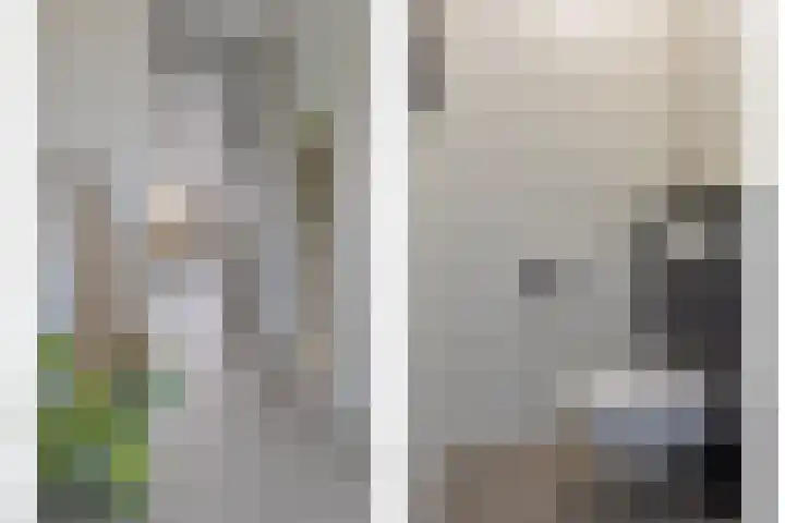 Leeijen-erf 5 Heesch thumbnail 5