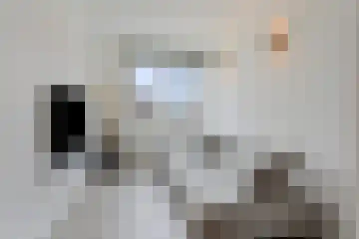 Leeijen-erf 5 Heesch thumbnail 6