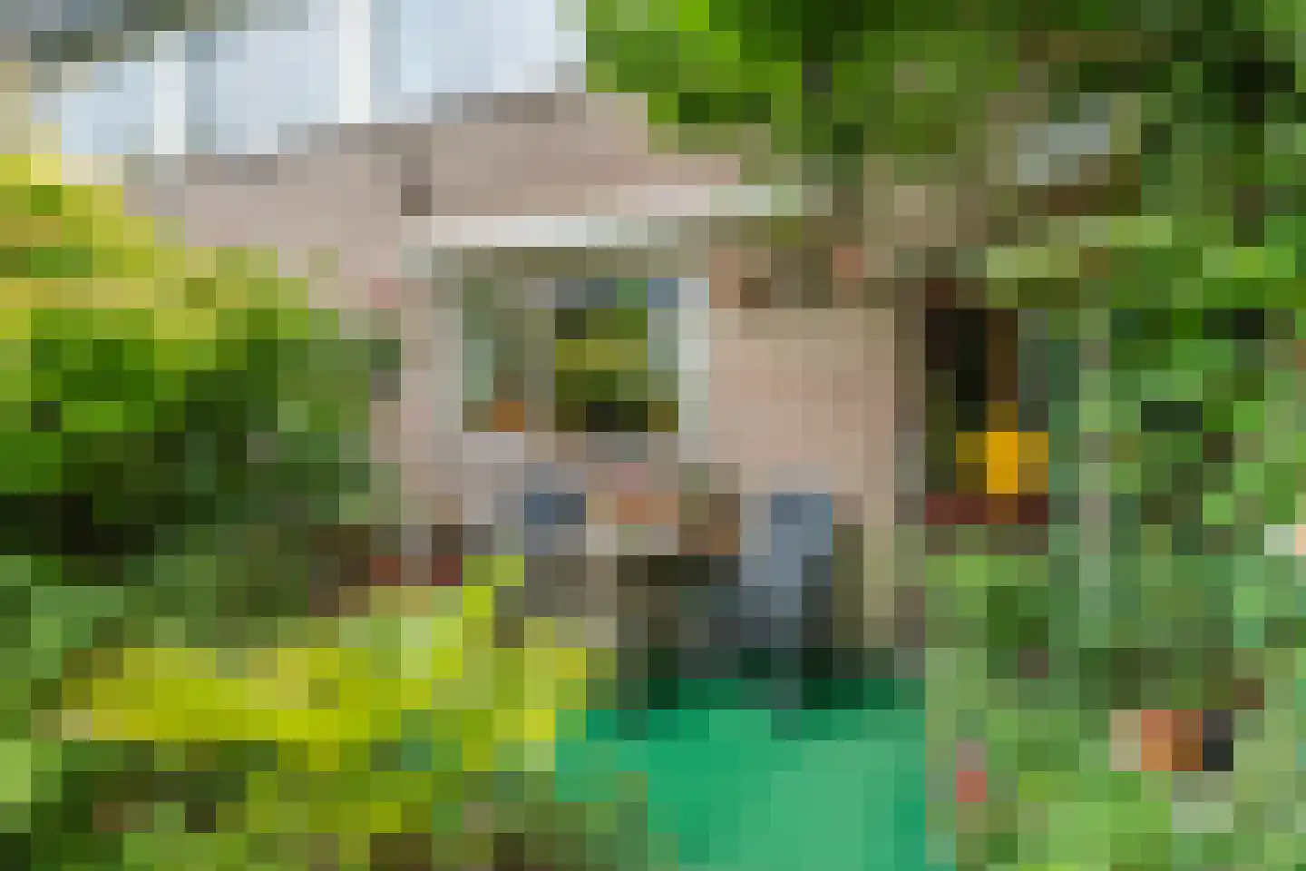 Leek 38 Bergen (NH) thumbnail 33