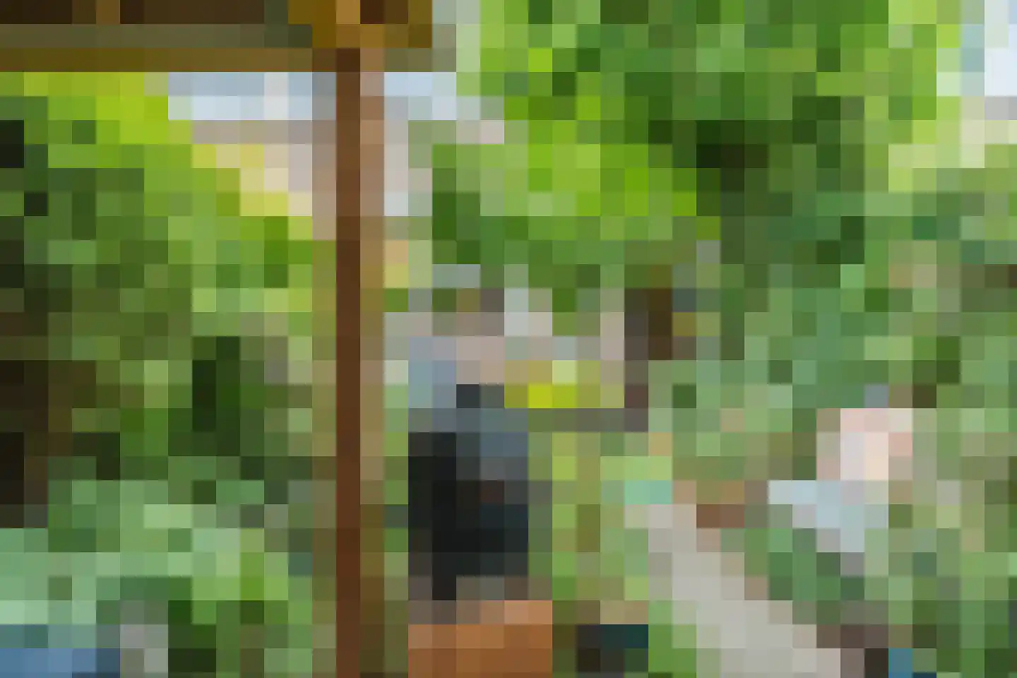 Leek 38 Bergen (NH) thumbnail 34