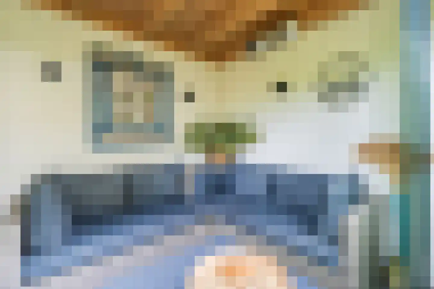 Leek 38 Bergen (NH) thumbnail 38