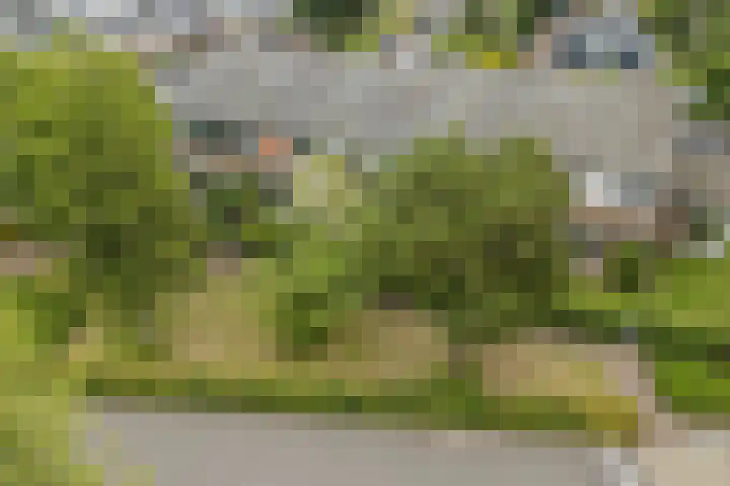 Leek 38 Bergen (NH) thumbnail 4