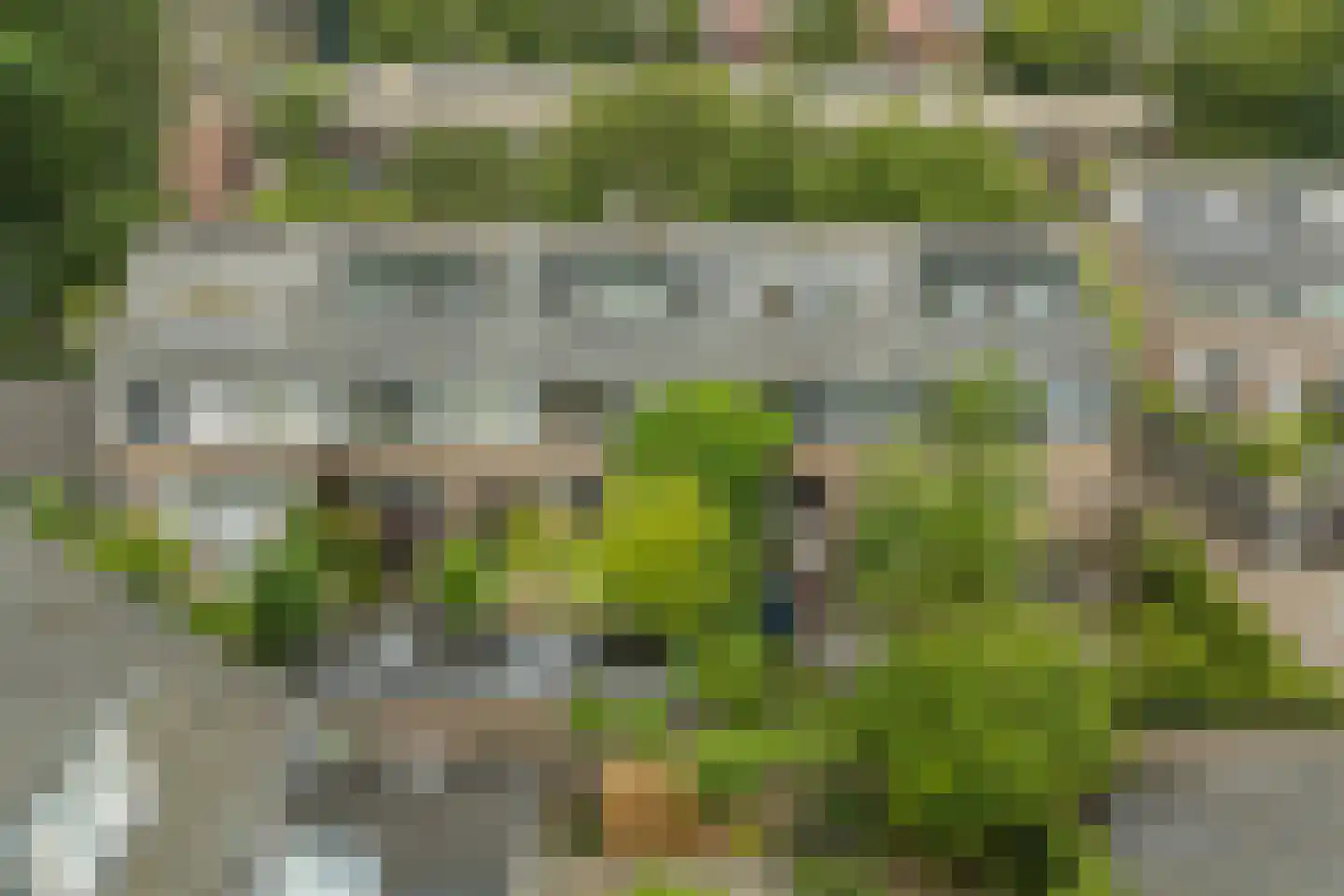Leek 38 Bergen (NH) thumbnail 41