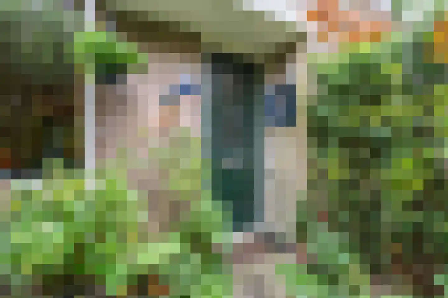 Leek 38 Bergen (NH) thumbnail 5