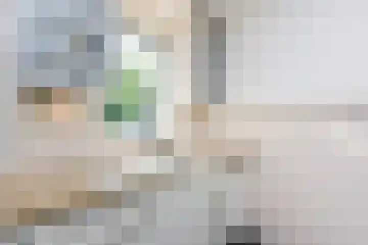 Leekeerd 22 Delfgauw thumbnail 12