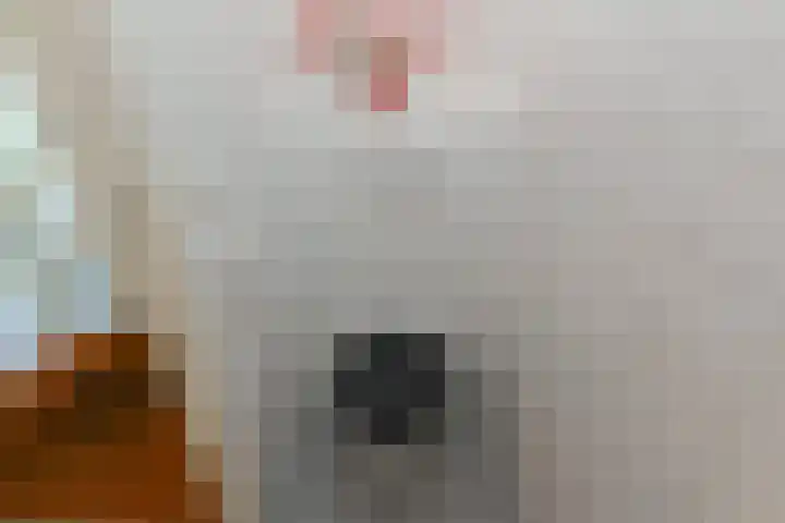Leekeerd 22 Delfgauw thumbnail 15