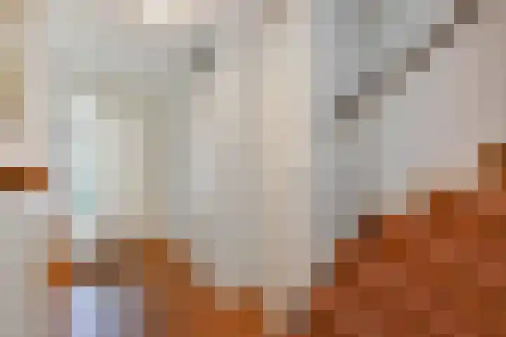 Leekeerd 22 Delfgauw thumbnail 16