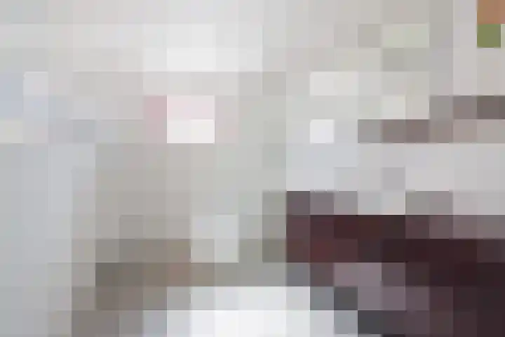 Leekeerd 22 Delfgauw thumbnail 20