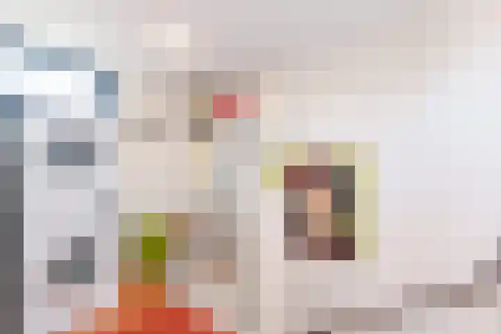 Leekeerd 22 Delfgauw thumbnail 23