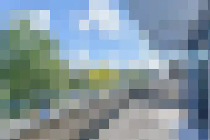 Leekeerd 22 Delfgauw thumbnail 26