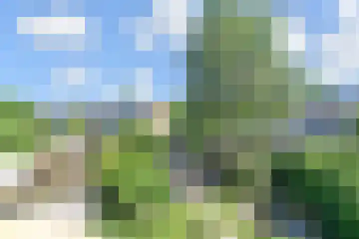 Leekeerd 22 Delfgauw thumbnail 27