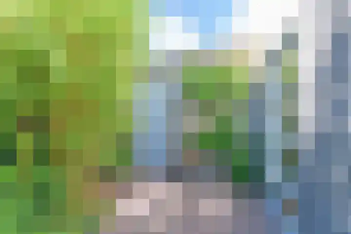 Leekeerd 22 Delfgauw thumbnail 29