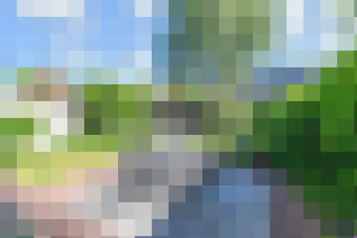 Leekeerd 22 Delfgauw thumbnail 35