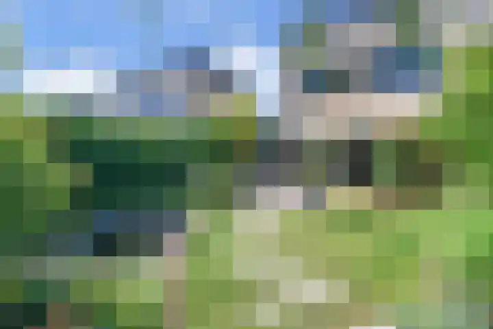 Leekeerd 22 Delfgauw thumbnail 37