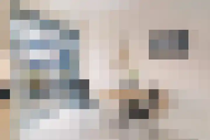 Leekeerd 26 Delfgauw thumbnail 16
