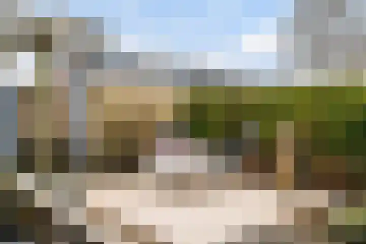 Leekeerd 26 Delfgauw thumbnail 18