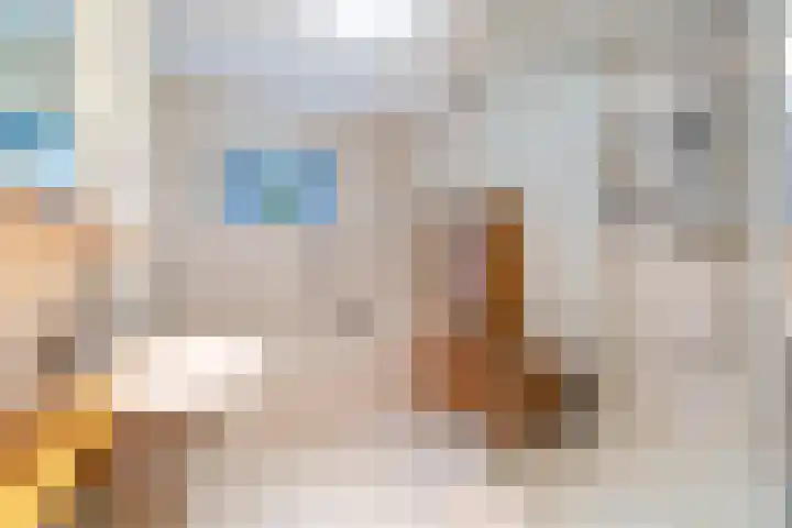 Leekeerd 26 Delfgauw thumbnail 30