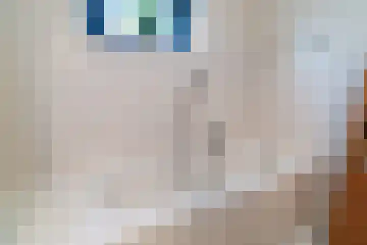 Leekeerd 26 Delfgauw thumbnail 31