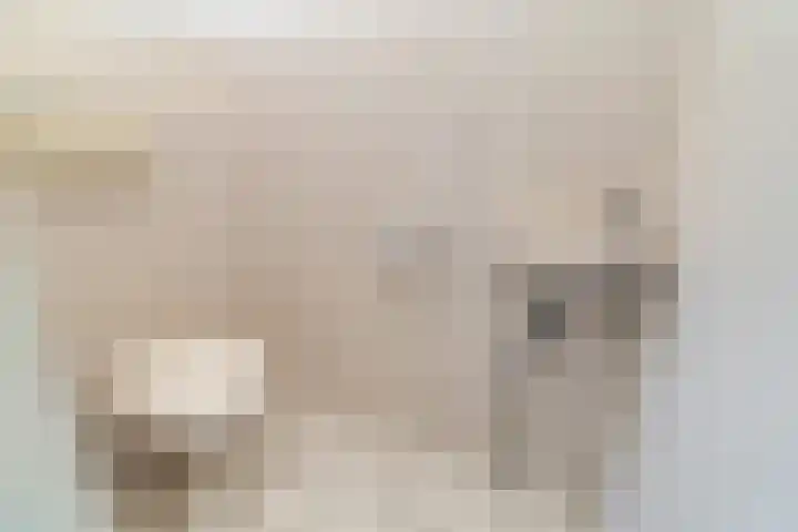 Leekeerd 26 Delfgauw thumbnail 32