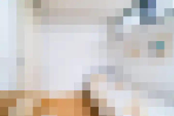 Leekeerd 26 Delfgauw thumbnail 36