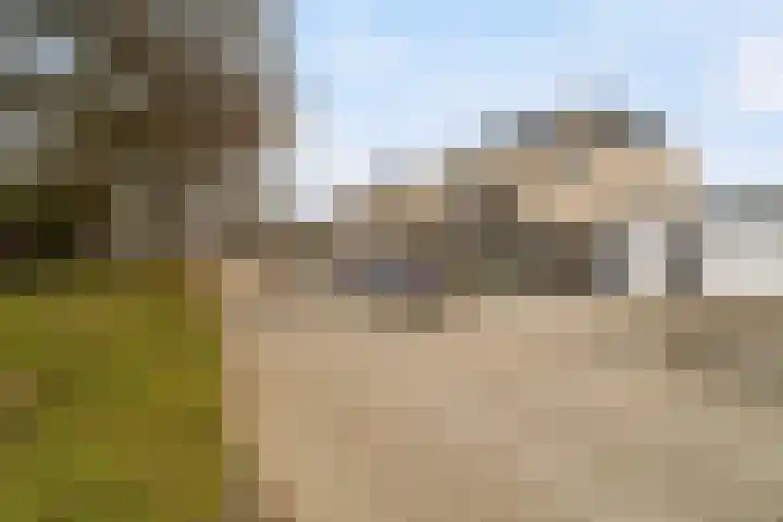 Leekeerd 26 Delfgauw thumbnail 5