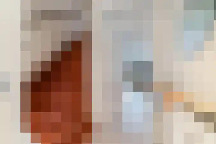 Leekeerd 26 Delfgauw thumbnail 6