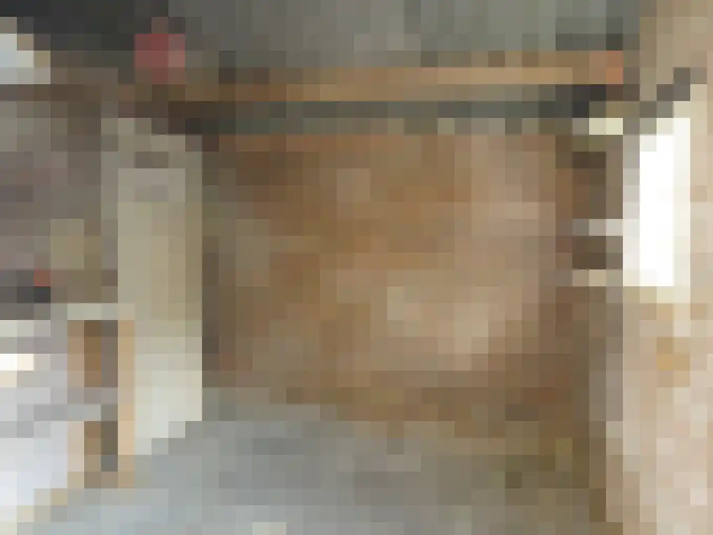 Leekerweg 7 Barsingerhorn thumbnail 25