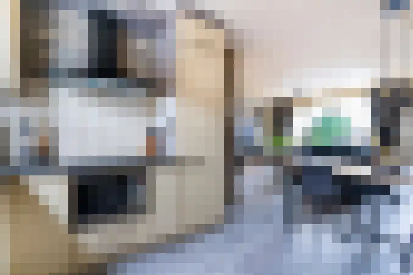 Leeksterschans 8 Nieuwegein thumbnail 11
