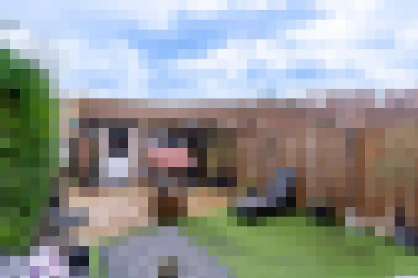 Leeksterschans 8 Nieuwegein thumbnail 13