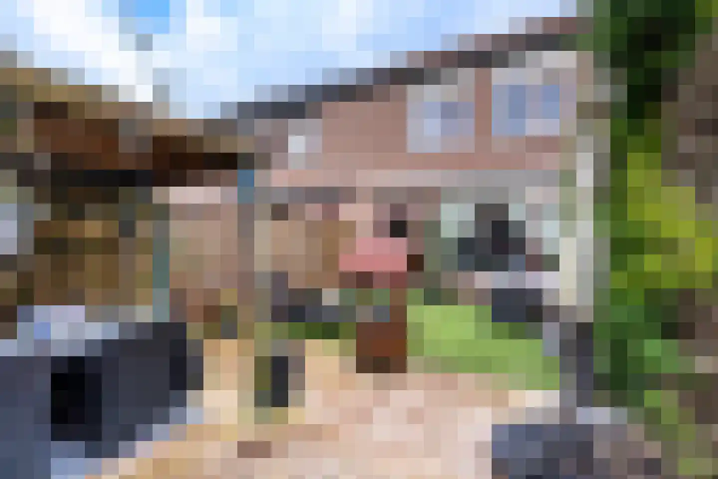 Leeksterschans 8 Nieuwegein thumbnail 14