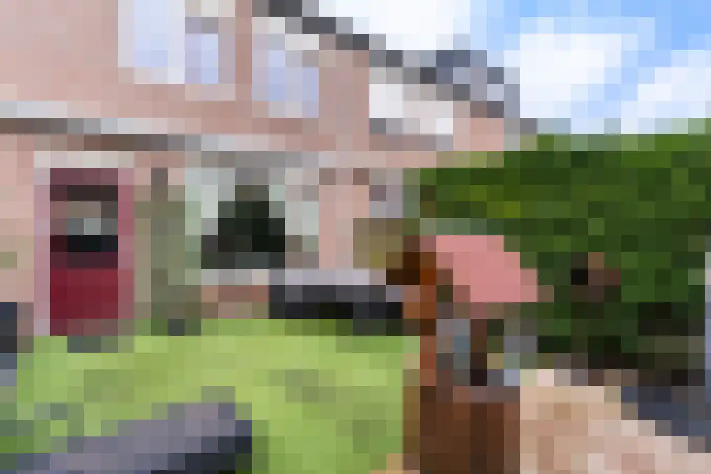 Leeksterschans 8 Nieuwegein thumbnail 15