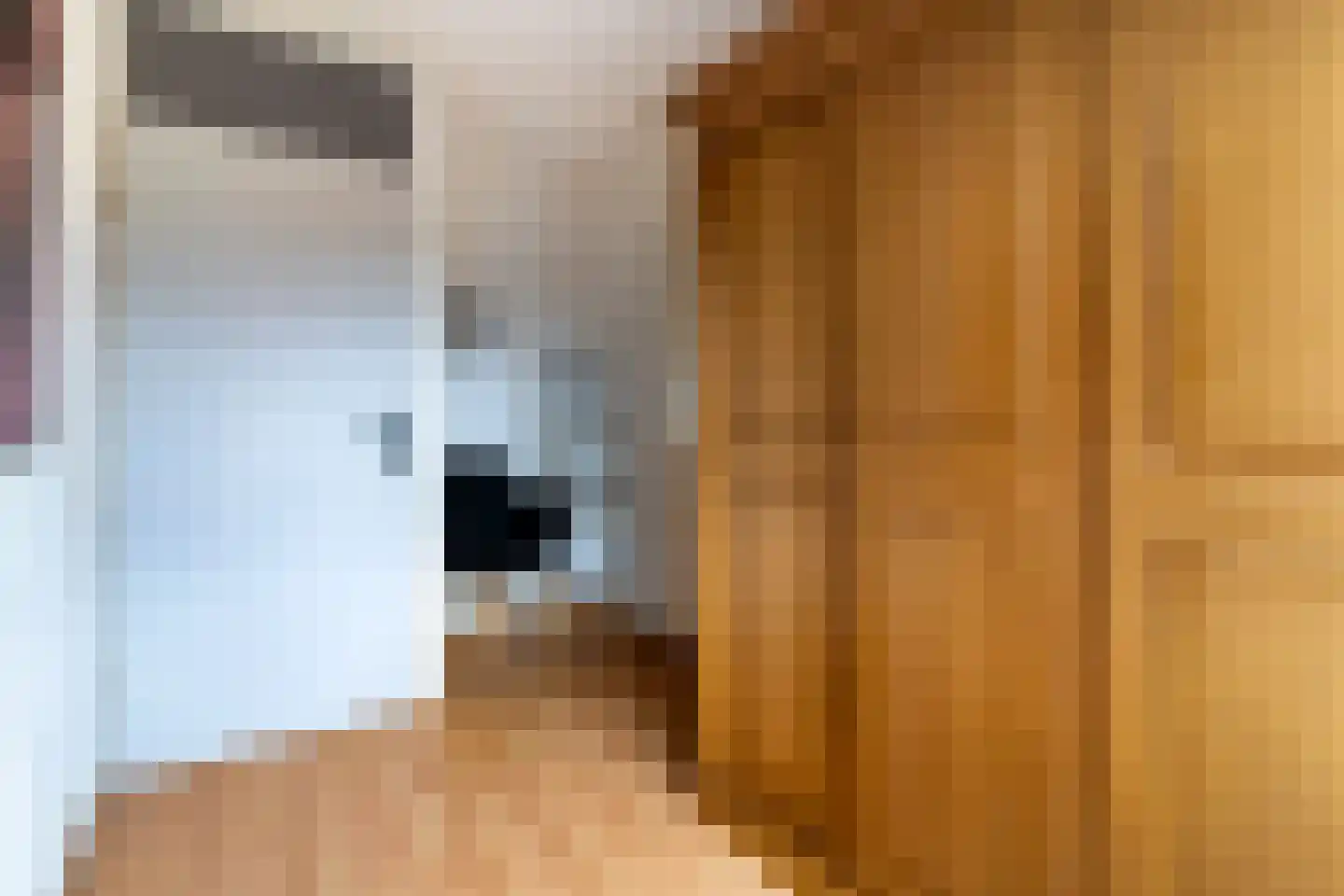 Leeksterschans 8 Nieuwegein thumbnail 21