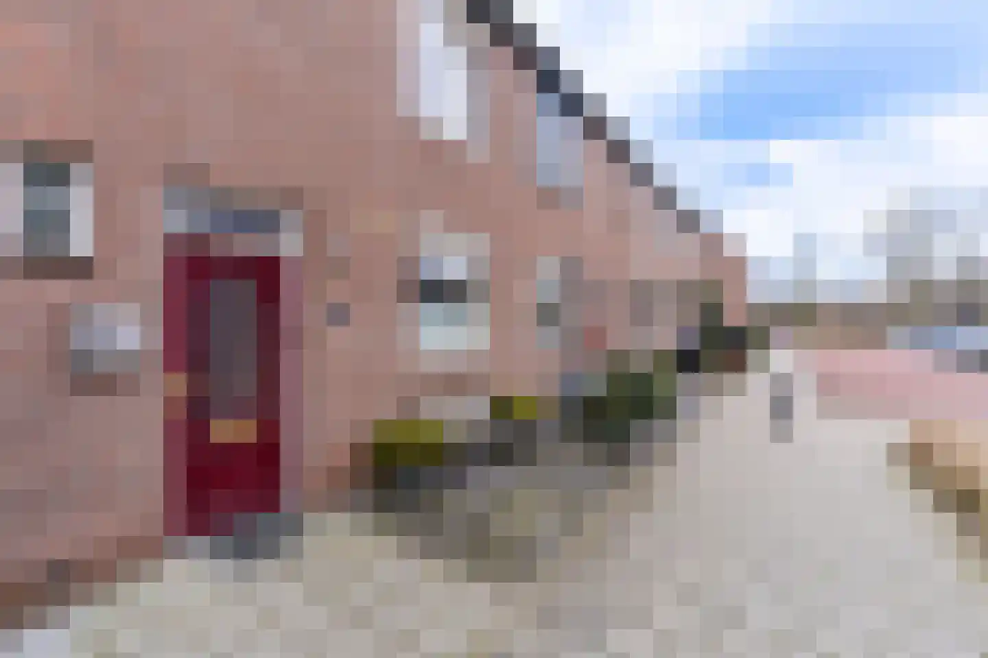 Leeksterschans 8 Nieuwegein thumbnail 31