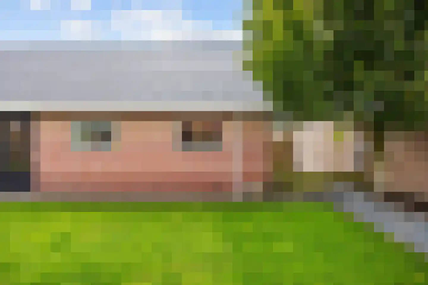 Leeksterweg 11 Haulerwijk thumbnail 57