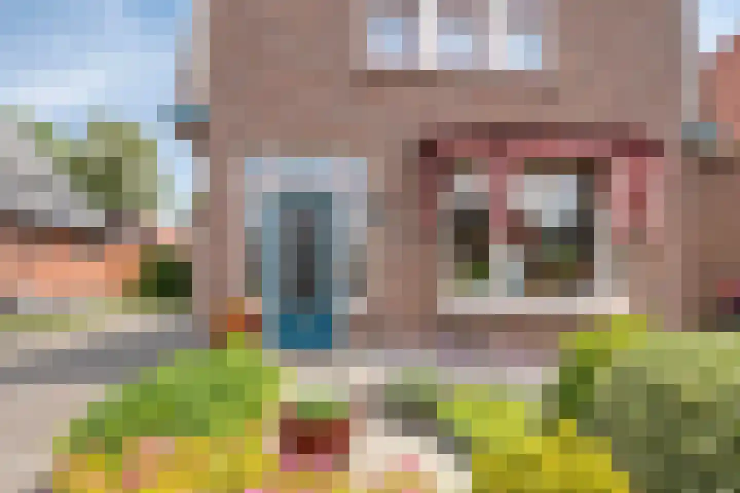 Leeksterweg 18 Haulerwijk thumbnail 13