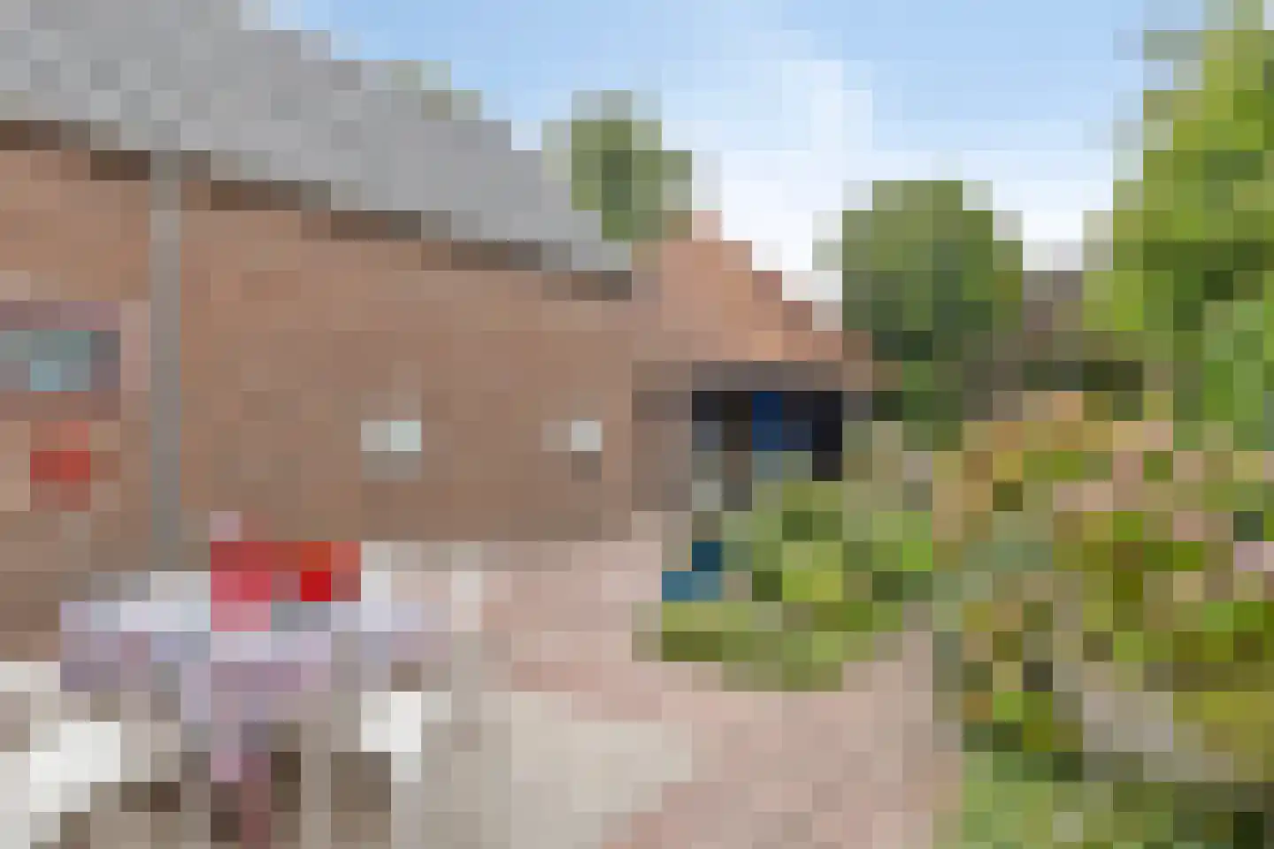 Leeksterweg 18 Haulerwijk thumbnail 43