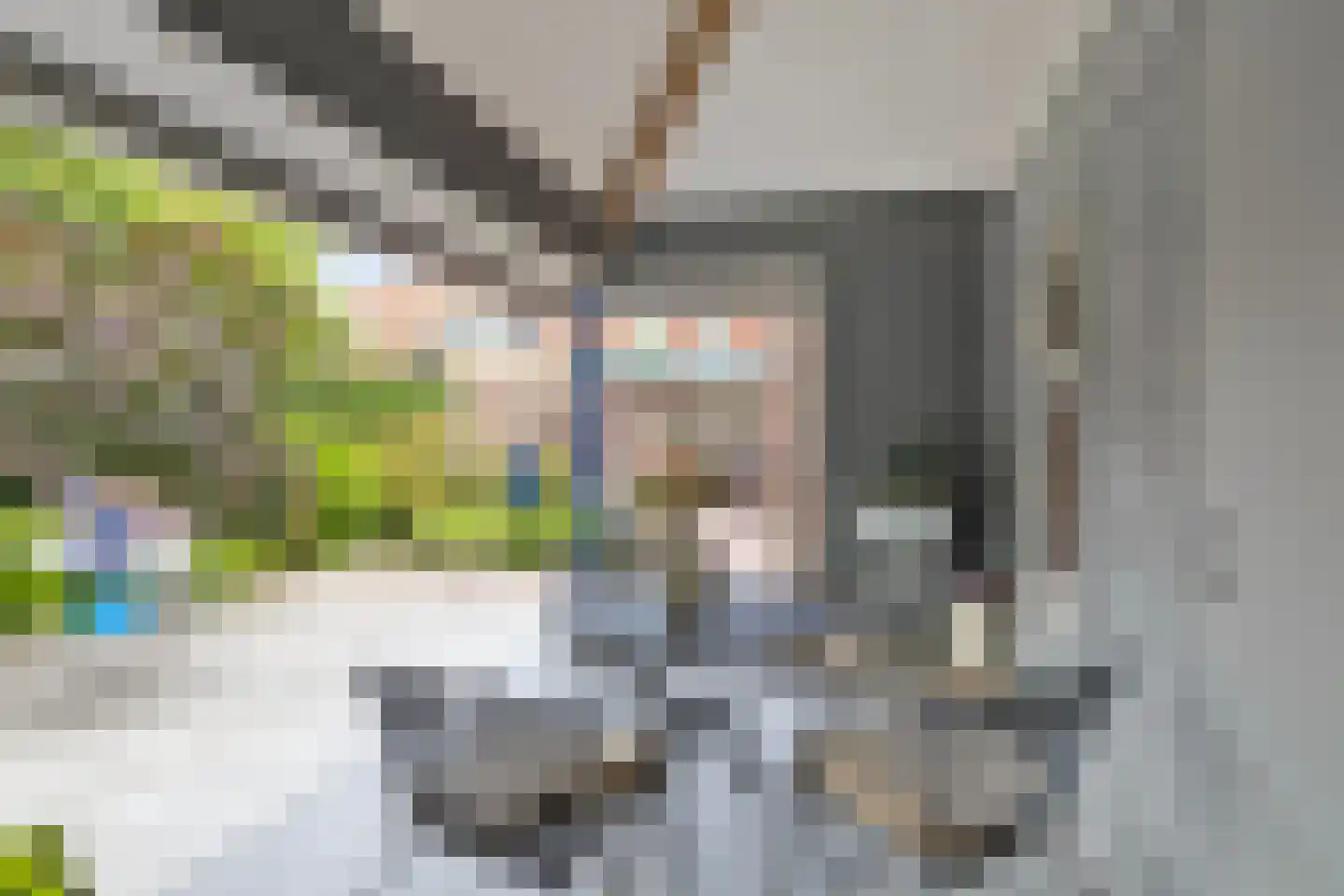 Leeksterweg 18 Haulerwijk thumbnail 49