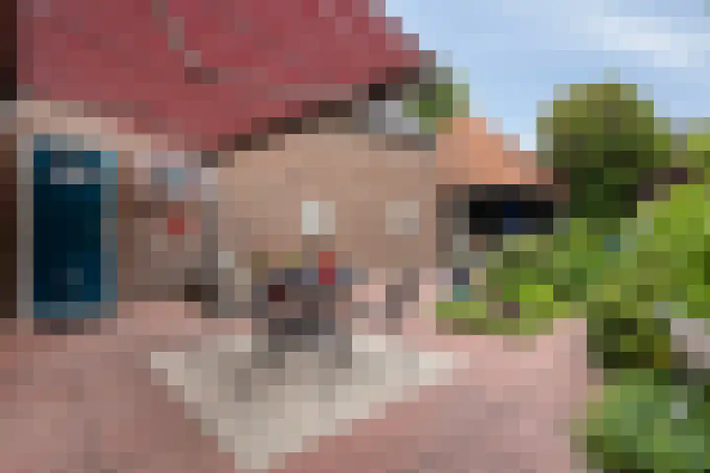 Leeksterweg 18 Haulerwijk thumbnail 54